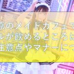 秋葉原のメイドカフェでアルコールが飲めるところはあるの？注意点やマナーについて